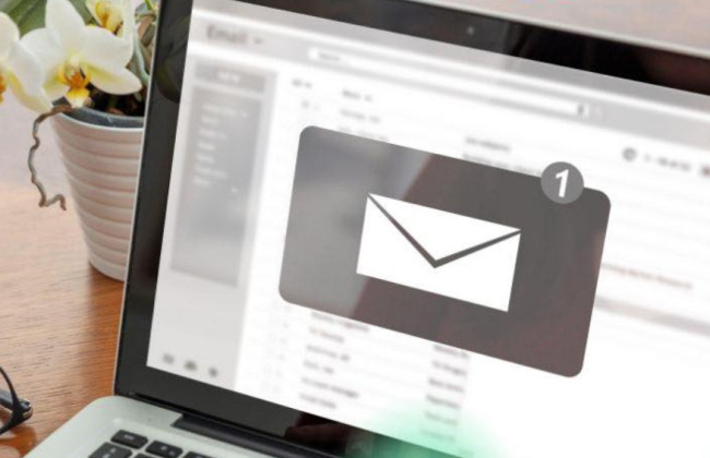 Витяг з реєстру платників єдиного податку — як отримати і чи можна подати запит поштою