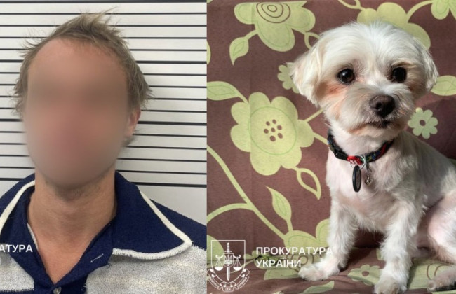 Из-за лая бросил собаку о пол — в Киеве будут судить мужчину за убийство мальтийской болонки