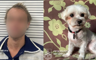 Из-за лая бросил собаку о пол — в Киеве будут судить мужчину за убийство мальтийской болонки