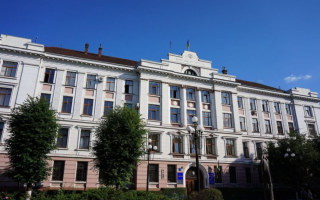 Судье почти пять лет назад сожгли автомобиль, но преступление до сих пор не раскрыто – судья обратилась в Высший совет правосудия