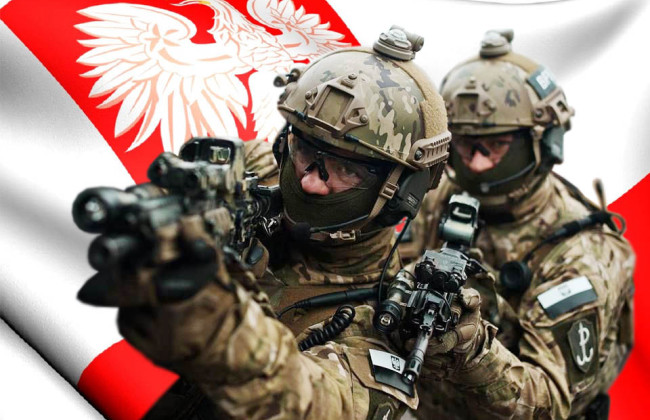 Польша готовится к борьбе с «генералами с животами»