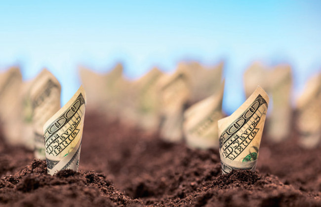 В Україні з 1 січня запроваджують нову декларацію для оренди держземель