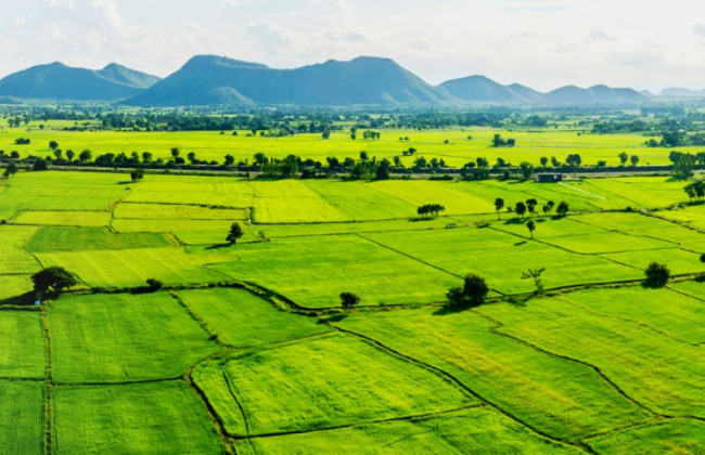 Кто освобождается от уплаты земельного налога — список