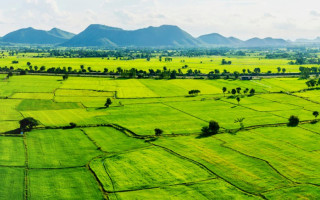 Кто освобождается от уплаты земельного налога — список