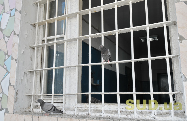 Мониторинг в Киевском СИЗО выявил системные нарушения прав человека — Лубинец