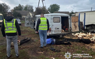 Срубили более 40 деревьев за одну ночь: в Житомирской области разоблачена группа «черных лесорубов»
