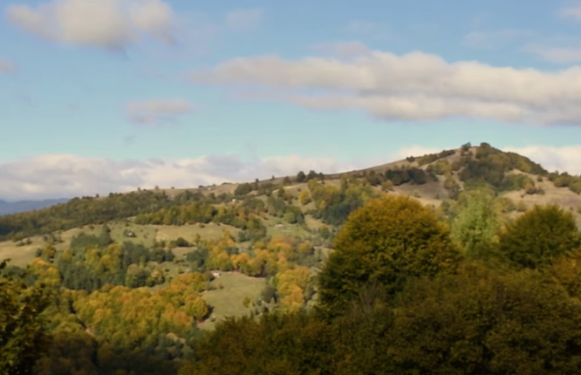 На Закарпатье прокуратура судится за сохранение 527 гектаров уникальных лесов