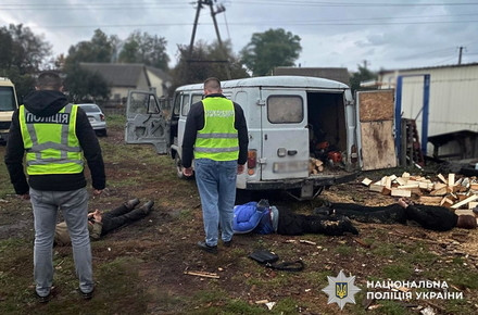 Срубили более 40 деревьев за одну ночь: в Житомирской области разоблачена группа «черных лесорубов»