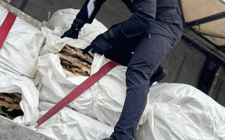 Хотів зекономити: керівник фабрики втратив на кордоні партію хутра бобра на 10 мільйонів гривень