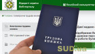 Українцям нагадали, де можна дізнатися, чи оцифровано трудову книжку
