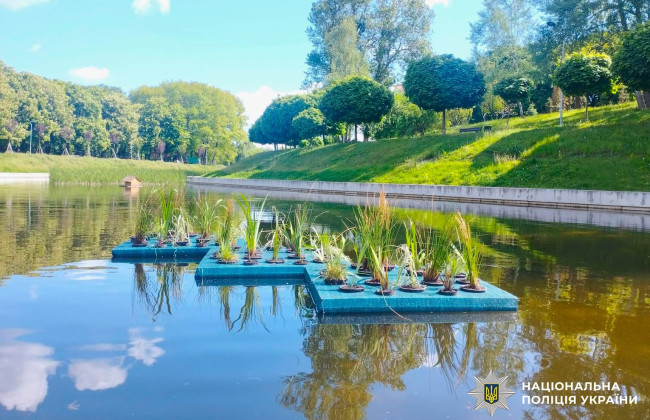 В Киеве присвоили 800 тысяч гривен, предназначенных на реконструкцию парка «Орленок»