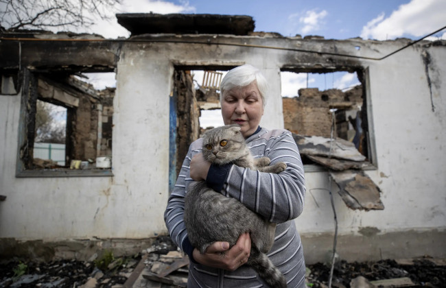 Количество жертв среди гражданских в Украине выросло на 31% — отчет ООН