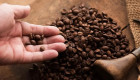 Кофейный шок – цены на арабику выросли на 20%, удешевления не ожидается