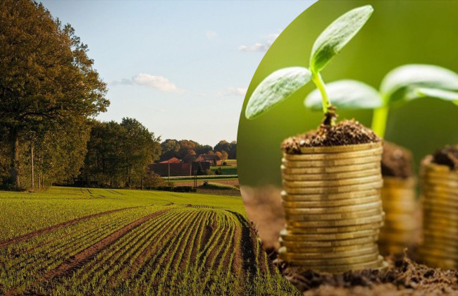 Как правильно уплатить земельный налог через кассу банка — инструкция