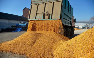 «Угроза для наших фермеров» – лидер польских ультраправых раскритиковал торговое соглашение Украина-ЕС