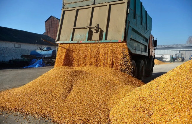 «Угроза для наших фермеров» – лидер польских ультраправых раскритиковал торговое соглашение Украина-ЕС