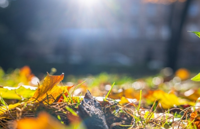 В Украине ожидается изменение погоды от дождей к солнечному потеплению – прогноз погоды на неделю