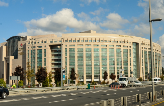 В Стамбуле мужчина обязался выплачивать «алименты на котов» после развода