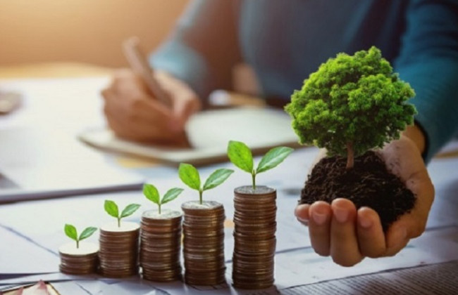 В ГНС объяснили, какие льготы по уплате земельного налога предусмотрены для физических лиц