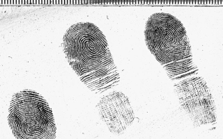 На Тайване женщина сняла отпечатки пальцев с тела умершего, чтобы подделать долговую расписку