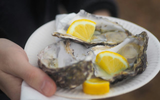 «Традиционное право» не сработало: в США рыбак проиграл суд за незаконный вылов устриц