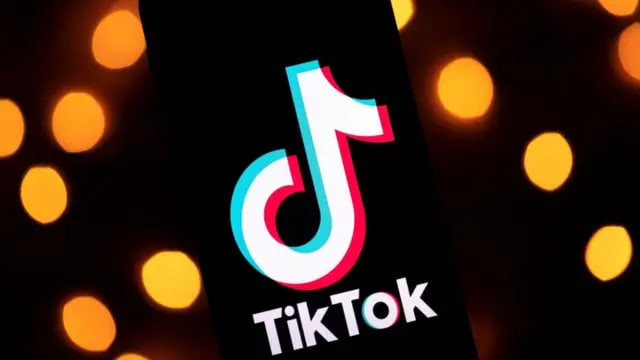 PlayCity заблокировало 33 TikTok-аккаунта с рекламой азартных игр с аудиторией более 365 тысяч