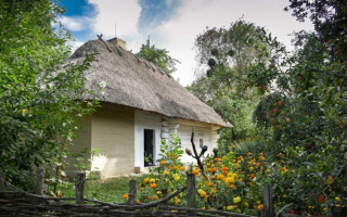 У Верховній Раді анонсували старт програми забезпечення ВПО житлом у селах