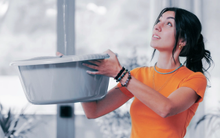 Чи є вина ОСББ у затопленні квартири та чи має воно компенсувати ремонт — що вирішив апеляційний суд