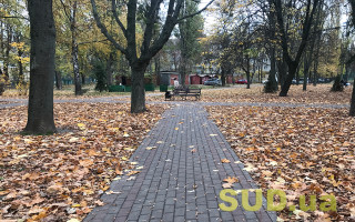 В ноябре в Украине ожидают аномальное тепло — каким областям стоит готовиться