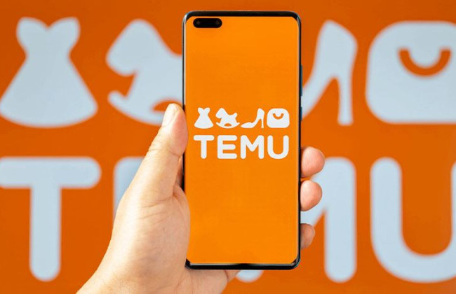 В Молдове планируют ввести налоги на посылки из Temu и Joom