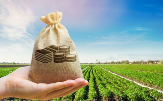 Нові правила плати за землю: тепер простіше при зміні власника нерухомості