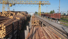Кабмин временно запретил экспорт необработанной древесины — Свириденко