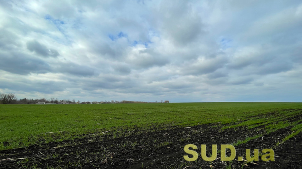 Прекращение права собственности иностранца на земельный участок путем его конфискации влечет за собой прекращение и права аренды этой земли — Верховный Суд