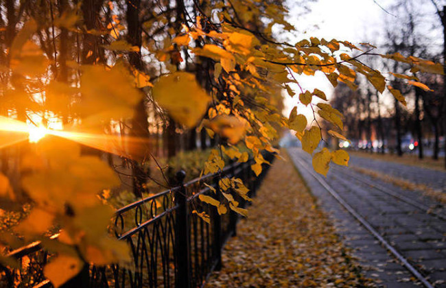 Теплым и туманным будет начало ноября – прогноз погоды
