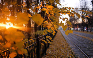 Теплым и туманным будет начало ноября – прогноз погоды