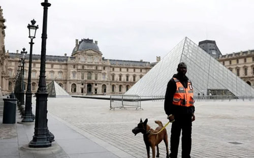 Ограбление Лувра в Париже совершили обычные преступники, а не мафия — прокуратура