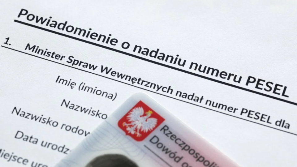 В Польше взломали базу с номерами PESEL: похищены личные данные тысяч граждан
