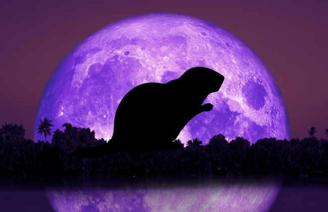 Бобровое полнолуние: над Украиной взойдет самая большая суперлуна за шесть лет — когда наблюдать