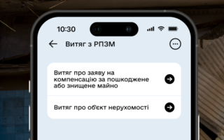 В налоговой службе объяснили, как подтвердить, что объект внесен в реестр поврежденного имущества