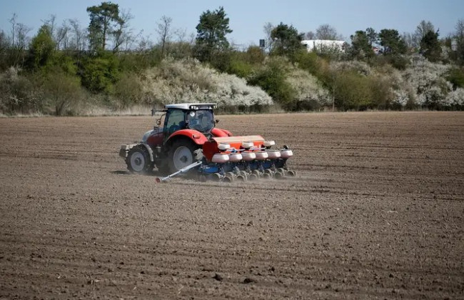 В Україні буде Виплатна агенція для підтримки аграріїв: Зеленський підписав євроінтеграційний закон