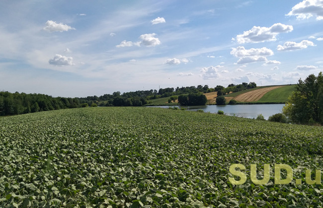 Освобождение от уплаты земельного налога — что нужно знать
