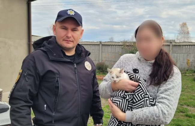 Во Львовской области отца девочки, которая разрисовала фломастерами кота, привлекли к ответственности