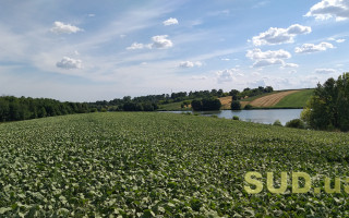 Освобождение от уплаты земельного налога — что нужно знать