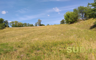 Суд прекратил договор аренды земли в связи с истечением срока и бездействием арендатора — детали дела