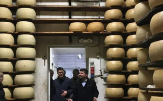 Ночной рейд на сыр пармезан – с молочного завода похитили продукцию на 100 тысяч евро