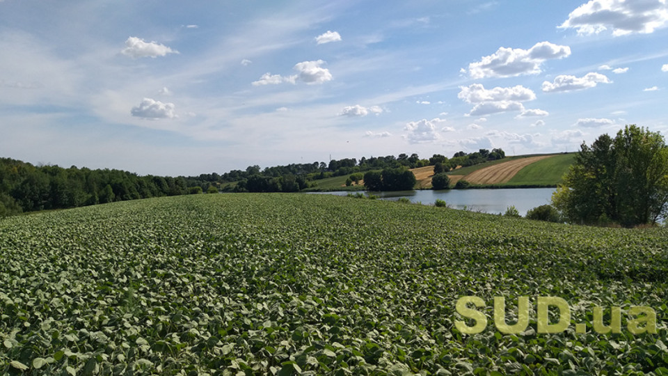 Освобождение от уплаты земельного налога — что нужно знать