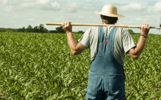 Фермер через суд добился отмены незаконной продажи права аренды его земельного участка