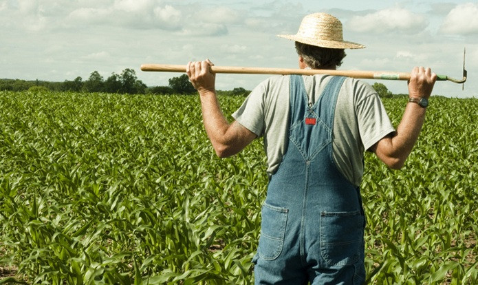 Фермер через суд добился отмены незаконной продажи права аренды его земельного участка