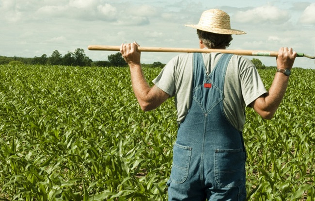 Фермер через суд добился отмены незаконной продажи права аренды его земельного участка