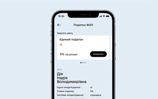 ФЛП должны подать декларацию за девять месяцев до 10 ноября — как это сделать в Дии